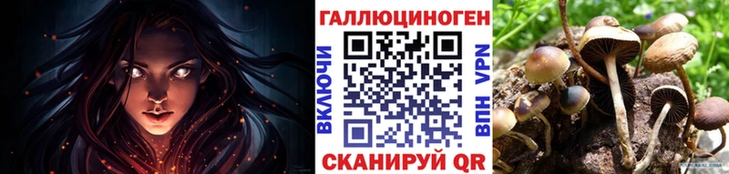 Галлюциногенные грибы Psilocybine cubensis kraken ссылки Мглин наркошоп